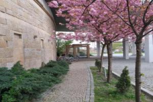 Hotel «Sympozjum & Spa», Краков