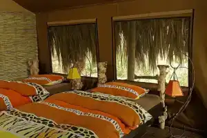 Crater Forest Tented Lodge, Карату