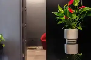 The Sendal Boutique Hotel, Никосия