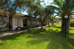 Village Mare, Метаморфоси