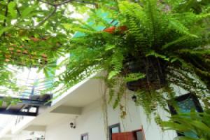 Wandee Bed & Breakfast, Као Лак