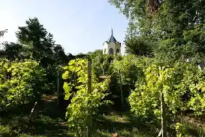 Holiday Apartment Remise - Ground Floor, Вердер