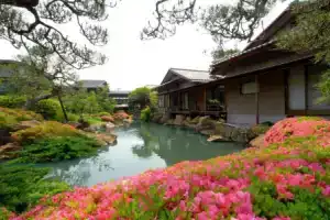 Отель «Shingen-No-Yu Yumura Onsen Tokiwa», Кофу