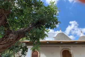 Trullo Labellavita, Путиньяно