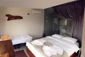 Godence Hotel Seferhisar, Измир