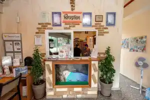 Апарт-отель «Paradise», Лаганас