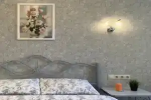 Квартиры посуточно на Большой Покровской 58, Нижний Новгород