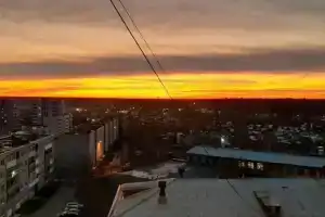 Желтый Нарцисс на улице Челюскинцев, Асбест