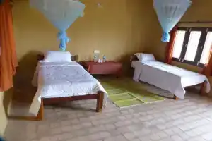Отель «Nature Safari», Бхуркиа
