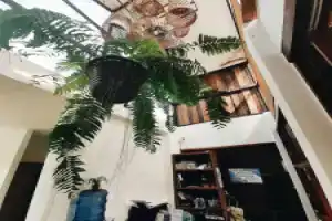 Мини-отель «For Rest Boutique House Koh», Куд