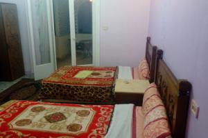 Cairo Moon Hostel, Каир