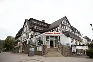 Rheinhotel Vier Jahreszeiten, Бад-Брайзиг