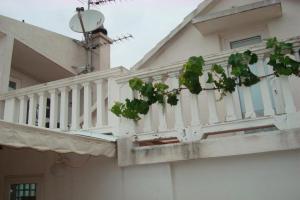 House Vodice, Водице