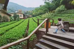 Hangzhou Senbo Resort Hotel, Ханчжоу