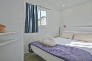 Camping Castell Montgrí, Л'Естартит