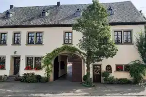 Weingut Gorges-Reinhard, Винтрих