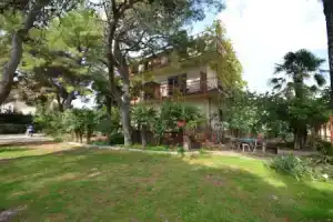 Rooms Summer Tree, Водице