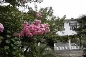 Avto House, Махинджаури