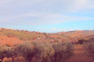b&b L'Alloggio, Фермо