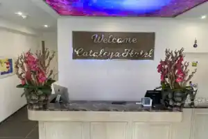 Hotel Cataleya BV, Алмере