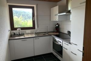Schlossblickwohnung Schiel, Гернсбах
