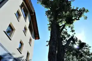 Vecchiascuola di Pianazzola, Pianazzola