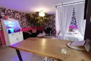 Romantisme et glamour 2 avec spa , clim et jardin, Дижон