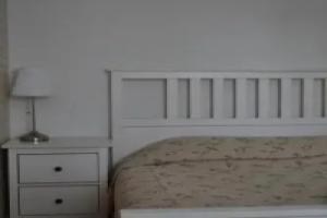 Apartamentai Šaulys, Друскининкай