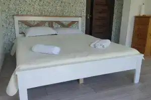 Borjomi Nest 1