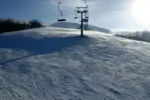 Усадьба «Гостиный двор», Изки