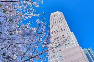 Cerulean Tower Tokyu Hotel, a Pan Pacific Partner Hotel, Токио