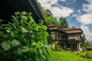 Villa Verbena, Априлци