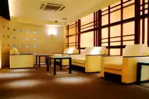 Toyama Town Hotel, Тояма