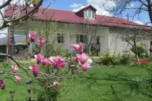 Guest House Melissa, Квемо-Алвани