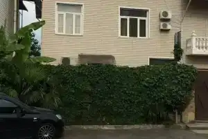 София, Адлер