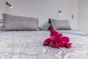 Avraki Rooms & Studios, Камари