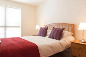 Sunny Apartment off Grand Canal Square Dublin 2, Дублин