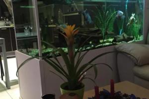 Homestay Gorg Preca, Пемброк