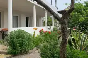 Гостевой Дом «у Розы на Кабардинской», Гагра
