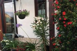 Ferienwohnung Am Park Weimar, Веймар