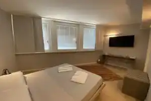 Golgi Suite, Павия