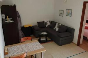 Apartments Stivic, Pinezići