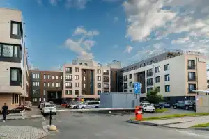 Карельский лось на улице Еремеева, Петрозаводск