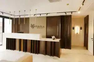 Мини-отель «Pikola Butik Otel», Орду