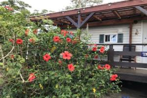 Kunigami-gun - Cottage / Vacation STAY 22642, Мотобу