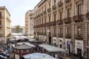 Let's b&b, Катания
