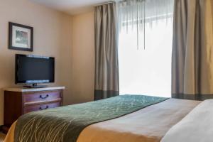Comfort Inn & Suites, Берлингтон