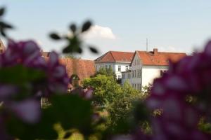 Hotel-Pension Blume, Бад-Пирмонт
