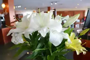 Hotel «Cambodiana», Пномпень