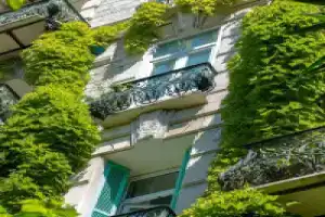 Le Windsor, Jungle Art Hotel, Ницца